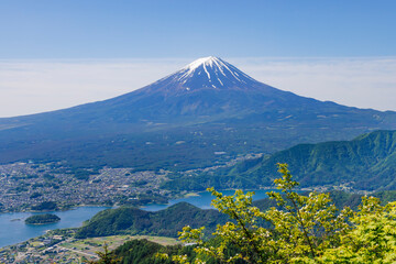 新緑が綺麗な新道峠から見える富士山