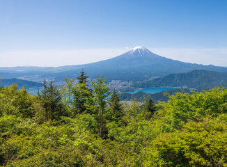 Fototapeta premium 新緑が綺麗な新道峠から見える富士山