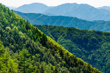 Fototapeta na wymiar 新緑が綺麗な木と遠くに見える山脈