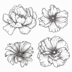 hand drawn retro flowers design set
