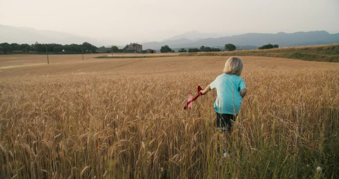 Child play with toy airplane on wheat field at sunset in countryside. Carefree children take model aircraft from harvest on meadow. Concept of dreams and village life on summer