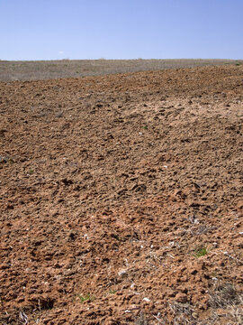 Fallow, chestnut soil, humus-accumulated horizon