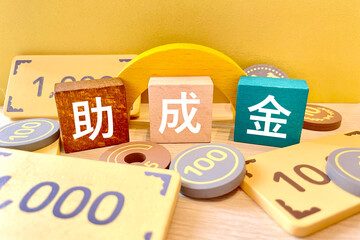 助成金 支援に使うお金
