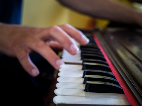 Playing the harmonium