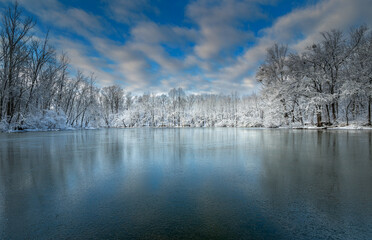 Beautiful scene of snowy trees reflecting on the frozen Caperton Swamp Park, Indian Hills, Kentucky