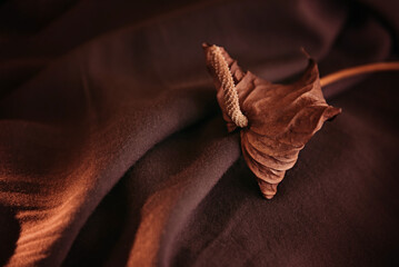 Brown withered anthurium flower on brown natural cotton fabric.