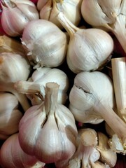 Pile of garlic 