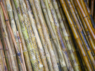 Designer Bamboo Sticks stock, ready to be sell in Market