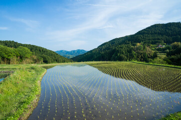 A quiet rural scene in Nara, Japan
