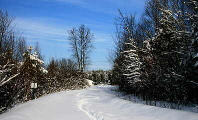 Morning after snow storm in Maine