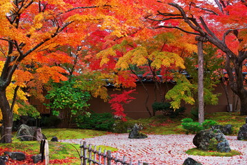 日本庭園と秋景色