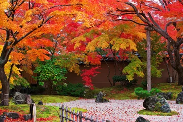Papier Peint photo Lavable Chocolat brun 日本庭園と秋景色