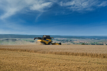 Mähdrescher beim ernten eines Weizenfeldes © Thomas Otto