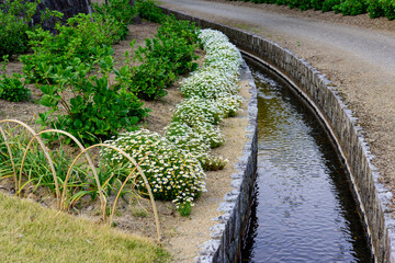 香川県丸亀市のやすらぎ公園の花壇と水路