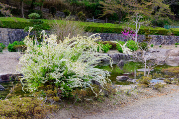 香川県丸亀市のやすらぎ公園
