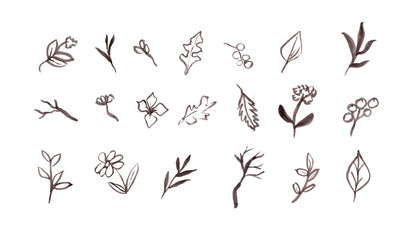 Dark brown forest collection