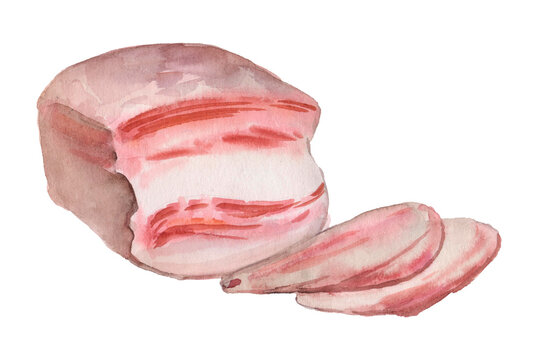 Slice of watercolor meat with fat on white background