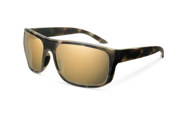 Sunglass