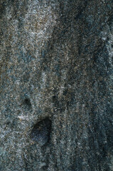 Rock. Background texture of dark stone closeup. Top view, stone from embankment in Poti.