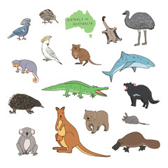 Australian animals vector illustrations set