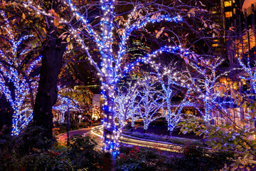 Tokyo,Japan on December 6,2019:"Garden Illumination" at Tokyo Midtown during Christmas Festival .