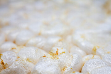 Extreme close up of diet rice cracker texture