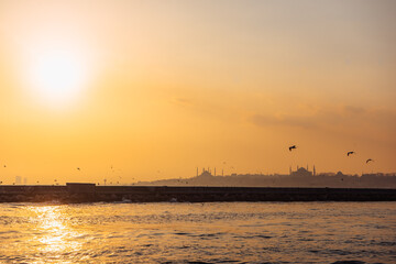 beautiful sunset view from the Ship in Istanbul with segal birds, Hagia Sophia and the blue mosque in Background. 