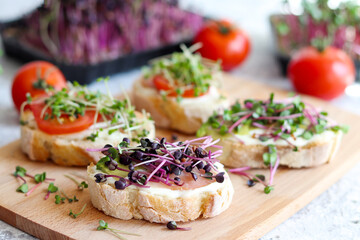 Tasty toasts or bruschetta with microgreens on the table. Healthy, vegan food and dieting concept....