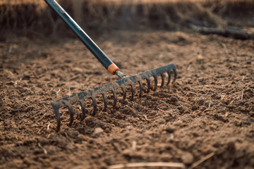 Loosening the soil with a rake in the greenhouse. Close up of an new metal garden rake cleaning earth at spring time - obrazy, fototapety, plakaty