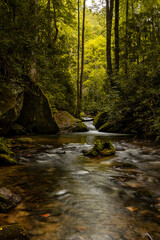 Vertical shot of a flowing rocky river in a beautiful green forest