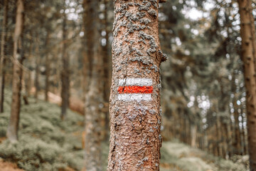 Red sign marking tourist mountain trail, rectangular painted tree mark sign, stripes symbol macro,...