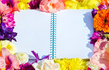 White space for text in the form of a notebook in a frame of bright colors