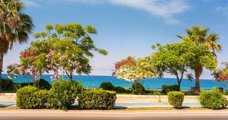 Beautiful resort promenade with blooming colorful oleanders and other trees against backdrop of Mediterranean Sea and blue sky.