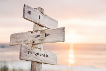 i am pregnant text quote on wooden crossroad signpost outdoors on beach with pink pastel sunset colors. Romantic theme.