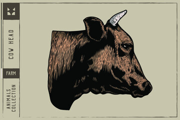 Cow head Vector illustration - Hand drawn