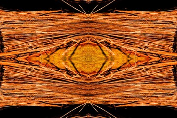 Textura de superfície de madeira. Tronco de árvore cortado deixando a mostra a casca e toda a...