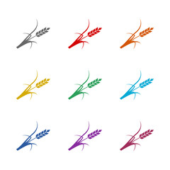 Ears of wheat icon isolated on white background. Set icons colorful