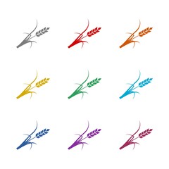 Ears of wheat icon isolated on white background. Set icons colorful