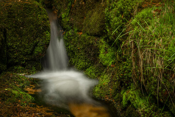Jedlova creek in Jizerske mountains in spring morning