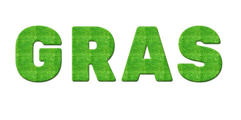 Text Effect aus Gras mit dem Wort "Gras"