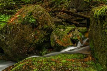Jedlova creek in Jizerske mountains in spring morning