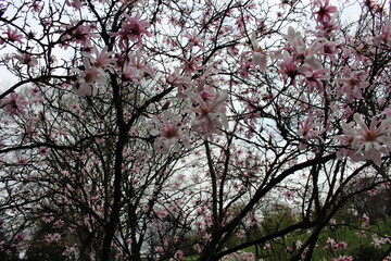 Spring has Arrived!! 