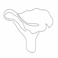 Mushroom icon drawn in one line. Vector illustration