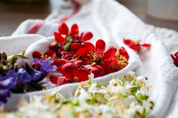 Spring flowers scattered on a white towel.