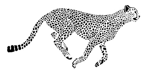 running cheetah vector illustration