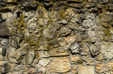 stone wall for the background