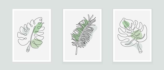 Palm tree, fern line vector. Botanical prints boho vector set for wall art .