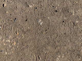 tracks in sand