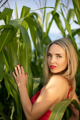 Portrait of a beautiful girl in corn leaves in a field