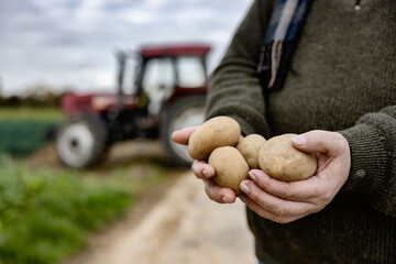 Hände eines Bauern mit Kartoffeln vor seinem Traktor